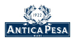 Logo_AP_PNG_NEW.png Logo_AP_PNG_NEW.png